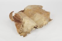 獸皮藏品圖，第4張
