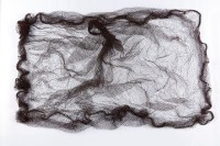 魚網藏品圖，第1張