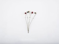 頭飾銀花藏品圖，第2張