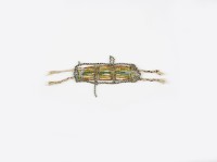 琉璃珠足踝飾品藏品圖，第2張