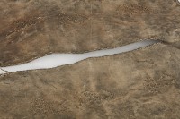 皮褲藏品圖，第4張