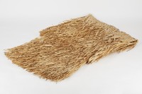 雨衣藏品圖，第4張