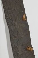 石板雕刻-打獵圖、石雕-打獵圖藏品圖，第4張