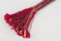 腰帶藏品圖，第4張