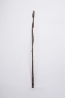 魚叉藏品圖，第2張