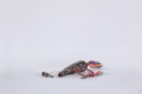 火藥筒藏品圖，第5張