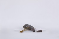 火藥筒藏品圖，第6張