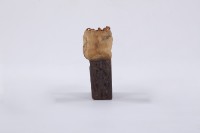 巫師用木盒藏品圖，第3張