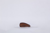 椰子殼湯匙、椰殼匙藏品圖，第1張