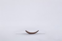 椰子殼湯匙、椰殼匙藏品圖，第3張