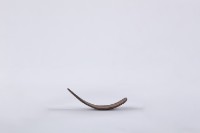 椰子殼湯匙、椰殼匙藏品圖，第3張