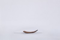 椰子殼湯匙、椰殼匙藏品圖，第3張