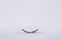 椰子殼湯匙、椰殼匙藏品圖，第3張