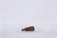 椰子殼湯匙、椰殼匙藏品圖，第2張