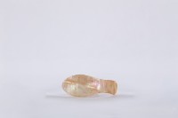 夜光貝古湯匙、貝匙藏品圖，第2張