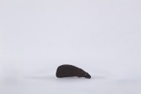 椰子殼湯匙、椰殼匙藏品圖，第1張