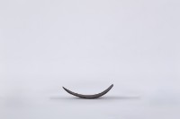 椰子殼湯匙、椰殼匙藏品圖，第3張
