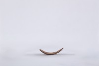 椰子殼湯匙、椰殼匙藏品圖，第3張