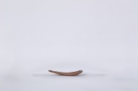 椰子殼湯匙、椰殼匙藏品圖，第3張