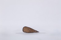 椰子殼湯匙、椰殼匙藏品圖，第1張