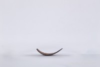 椰殼匙藏品圖，第3張