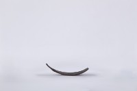 椰子殼湯匙、椰殼匙藏品圖，第3張