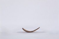 椰子殼湯匙、椰殼匙藏品圖，第3張