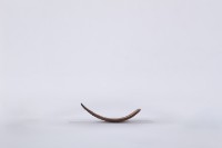 椰子殼湯匙、椰殼匙藏品圖，第3張