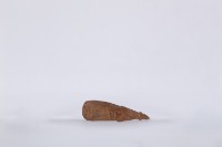 椰子殼湯匙、椰殼匙藏品圖，第2張