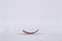 椰子殼湯匙、椰殼匙藏品圖，第3張