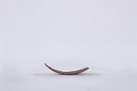 椰子殼湯匙、椰殼匙藏品圖，第3張