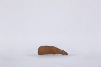 椰子殼湯匙、椰殼匙藏品圖，第1張