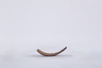 椰子殼湯匙、椰殼匙藏品圖，第3張