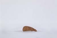 椰子殼湯匙、椰殼匙藏品圖，第1張