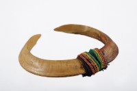 山豬牙飾材藏品圖，第3張