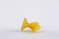 魚簍-蓋藏品圖，第3張