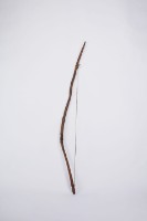 弓藏品圖，第2張