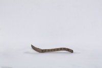 湯匙、木匙藏品圖，第3張