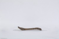 湯匙、木匙藏品圖，第3張
