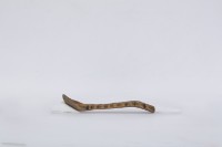 湯匙、木匙藏品圖，第3張