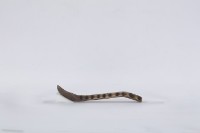 湯匙、木匙藏品圖，第3張