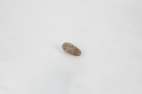 墊石、石錘藏品圖，第2張