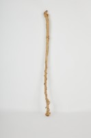 木杖藏品圖，第1張