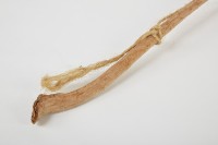 木杖藏品圖，第3張