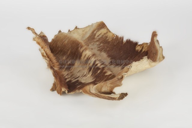 獸皮藏品圖，第3張