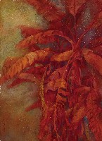 榮與枯藏品圖，第1張