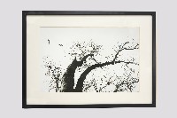 白鷺人家系列藏品圖，第4張