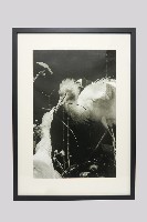 白鷺人家系列藏品圖，第1張