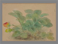 草莓 藏品圖，第1張