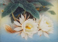 香宵藏品圖，第1張